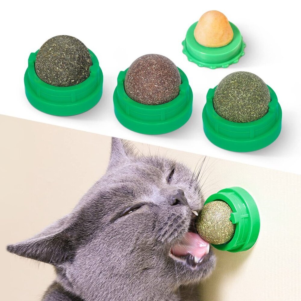Catnip Silvervine Dental Chew Toys Wall Treats Healthy Teeth Cleaning Fun